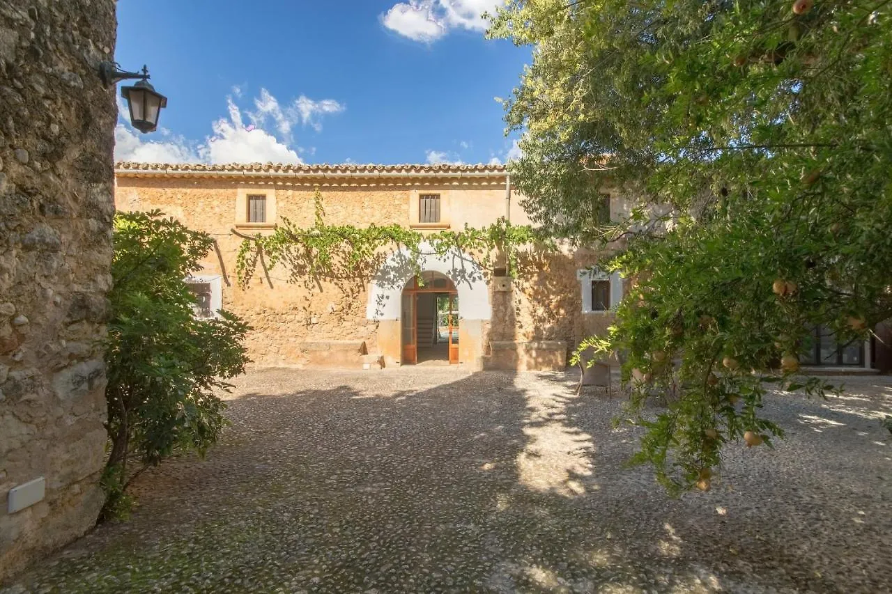 Buger - 21834 Mallorca