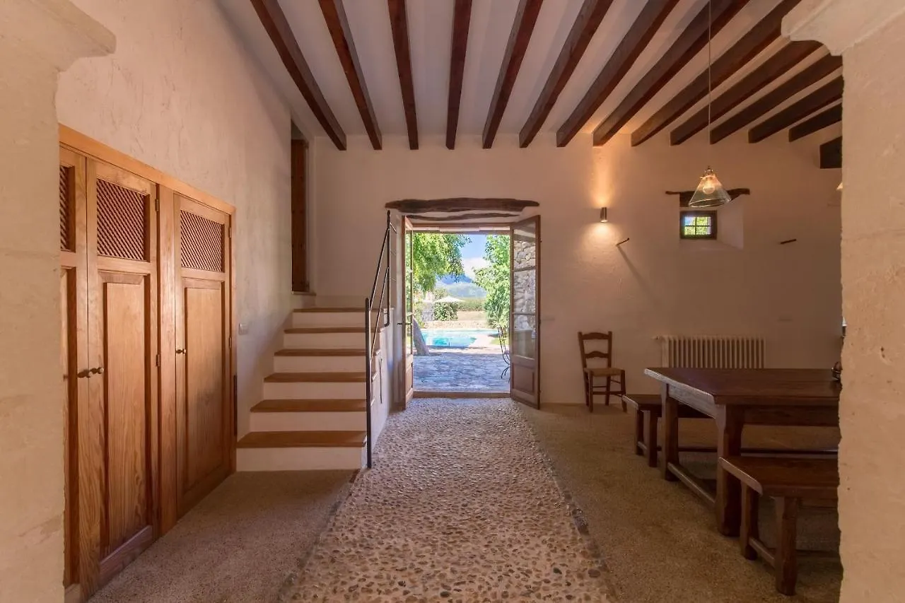 Buger - 21834 Mallorca İspanya
