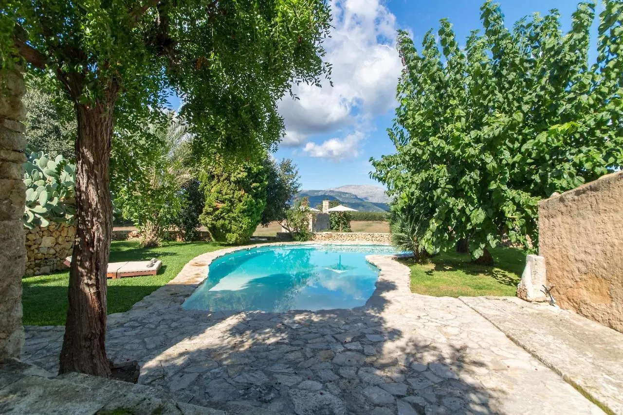 Buger - 21834 Mallorca İspanya